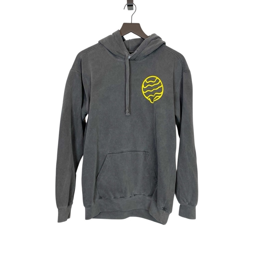 3Landers Biomes Gray Hoodie Sweatshirt Medium - Picture 2 of 4